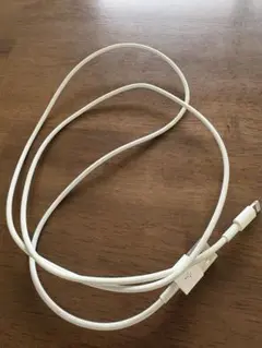 中古　Apple 純正 タイプA ライトニングケーブル iPhone 充電