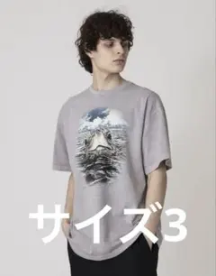 新品未使用】NICENESS EBISU 1周年記念限定Tシャツ M グレー - メルカリ