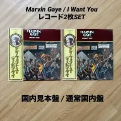 レア音源集 Marvin Gaye I Want You 2 アナログ盤2枚組 - メルカリ