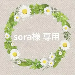 【sora様 専用】イチゴのおでかけポーチ＋イチゴ２粒セット２個♡ハンドメイド♡