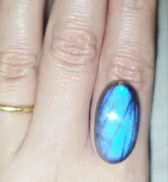 マスカット様 リクエスト 3点 まとめ商品