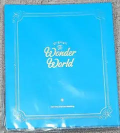 ☆ITZY☆奇幻世界小卡收納夾☆