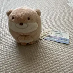 新品未使用　すみっコぐらし てのりぬいぐるみ かわうそ