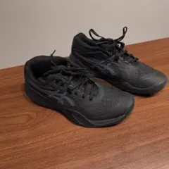 ゲルレゾリューションx