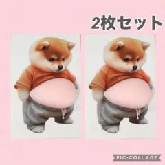 Item thumbnail for item a57bbae2-c6bd-45e3-97a1-84b36e2b90d9