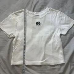 moment+ ワンポイント刺繍半袖チビTシャツのサムネイル