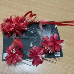 着物　袴　髪飾り