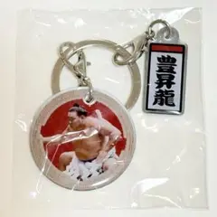 横綱　豊昇龍　大相撲ガチャ　ダブルチャームメタルキーホルダー