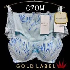 ＊C70M トリンプ プレミアム ゴールドレーベル 3085 ブラ＆ショーツBL