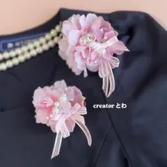 Item thumbnail for item a501d339-cad9-4fe1-a719-4ec9588442a1