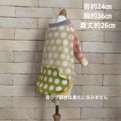 Item thumbnail for item 4dea0bef-00c1-4333-9dde-8041ad4c0219