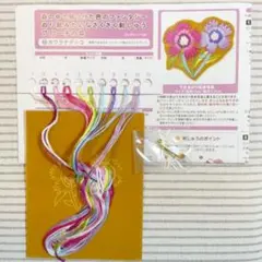 〈42〉ぬり絵みたいなざくざく刺しゅうブローチの会　カワラナデシコ　フェリシモ