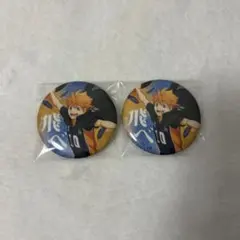 ハイキュー 日向翔陽 横断幕 グリッター缶バッジ 2点セット