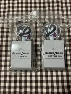 なにわ男子 LIVE TOUR 2025 ペンライト 2個セット