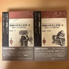 肉屋 クロード・シャブロル DVD 廃盤 - メルカリ
