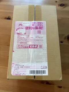 【新品未開封】ポケモンセンター フクオカ スペシャルボックス