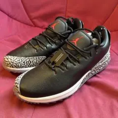 NIKE ナイキ　Air Jordan ADG ゴルフシューズ　26センチ