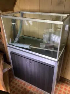 2026年最新】水槽 90 台の人気アイテム - メルカリ