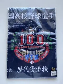 2026年最新】甲子園100回記念大会の人気アイテム - メルカリ