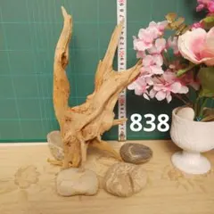 Item thumbnail for item aac16e25-fbf0-45db-9c3f-1cc2348c19fa