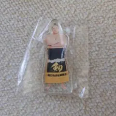 Item thumbnail for item 74230e33-bfed-4c11-9280-d2bd87b5cf14