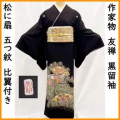○604mk5○夏物 高級小紋 星にフクロウ 絽 黒 ややふくよか○一部 