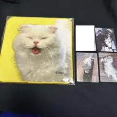 2025年最新】royz杙凪の人気アイテム - メルカリ