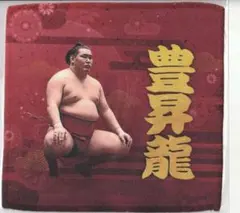 2026年最新】豊昇龍 タオルの人気アイテム - メルカリ
