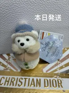 ダッフィー 雪だるまのぬいぐるみチャーム シークレットオブスノーウィーデイ5番