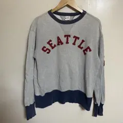 【L155】 Champion ランタグ復刻 両Vトレーナー サイズL グレー