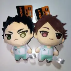 ぷちっしゅ！ ハイキュー！！ vol.1 岩泉一 及川徹　2種セット