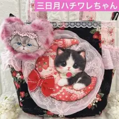 ❣️コヤンイサムチョン❣️クラウディーちゃん❣️サイドトートバック