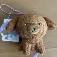 きょむきょむ倶楽部マスコット