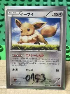 ポケモンカード 海外 イーブイ ホロ プロモ SWSH127 英語 ポケカ