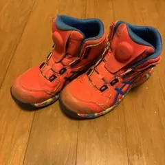 ASICS CP304 BOA 25.5 限定品 スパイスラテ×ライトセラドン - メルカリ