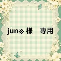 jun※ 様　專用