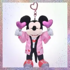 ミッキー ぬいぐるみキーチェーン ミニーの日 ディズニーストア