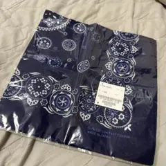 Item thumbnail for item d4ea8508-190c-4b9c-a517-0d6285abc5bb