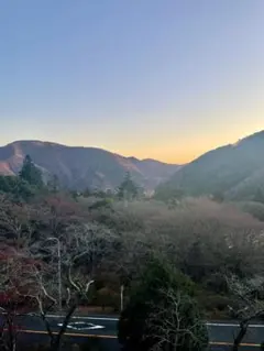 ひろぽん様専用