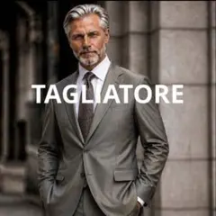 【美品】TAGLIATORE タリアトーレ　セットアップ　スーツ　玉虫色　3L位のサムネイル