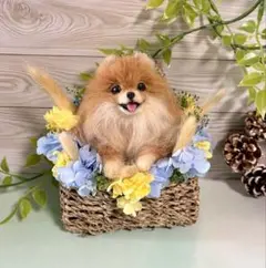 羊毛フェルト　にこにこポメラニアンのバスケット 羊毛フェルト 羊毛犬 にこふわポメラニアンのフラワーバスケット