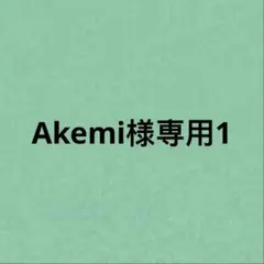 Akemi様専用1