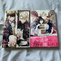 アンダルシュノベルズ2冊セット