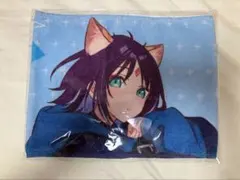 R*a様 本日限定 超かぐや姫 特大バスタオル R*a様 本日限定 超かぐや姫 特大バスタオル - メルカリ