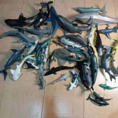 鮫　フィギュア　まとめ売り