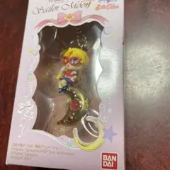 Twinkle Dolly セーラームーン