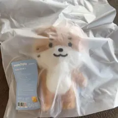 ミニティーン　ディノ　チャンダリ　ぬいぐるみSEVENTEEN プラッシュトイ ミニティーン ディノ チャンダリ ぬいぐるみSEVENTEEN プラッシュトイ