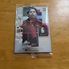 男子バレーボール日本代表ツインウエハース2026 山内晶大