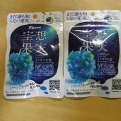空想果実　２個セットのサムネイル