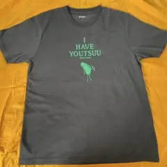 Item thumbnail for item 0a313a1d-ec48-4626-91f4-b367e2c14c8d